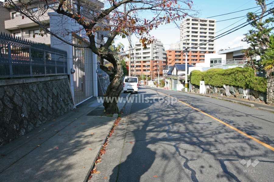 敷地東側の前面道路