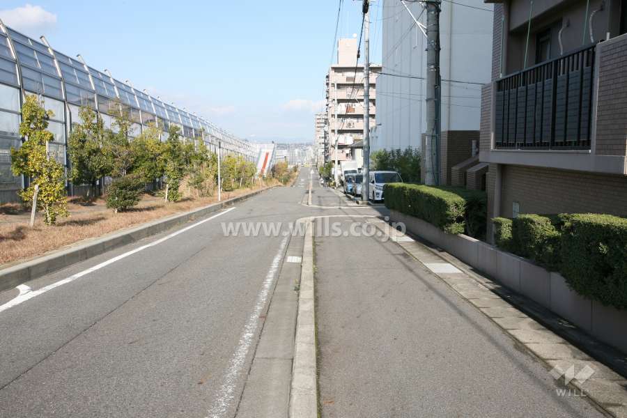 敷地西側の前面道路
