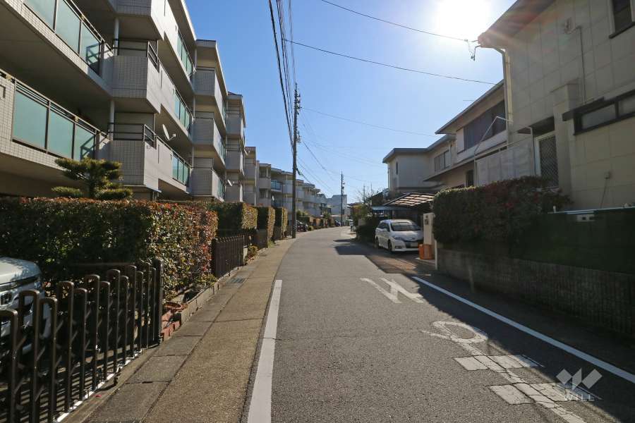 敷地南側の前面道路（西側から）
