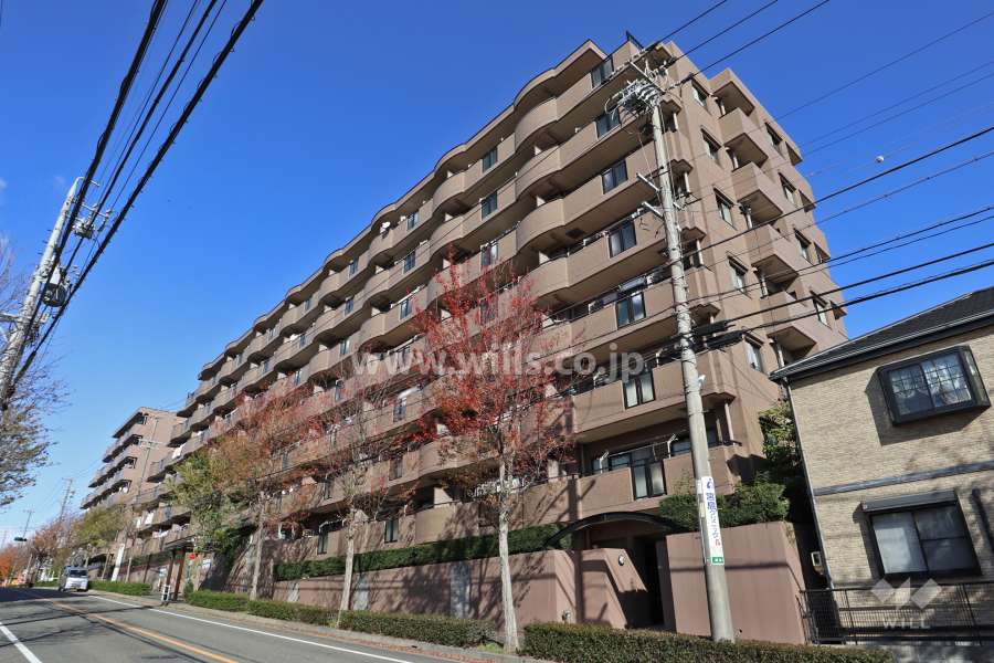 ダイアパレス島田東星の丘の外観（南側から）