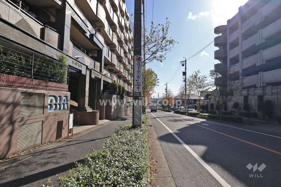 敷地南西側の前面道路（北西側から)