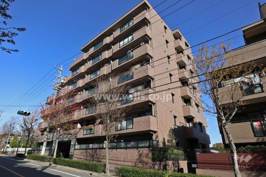 ネオハイツ島田東の外観（南側から)