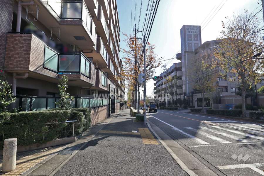 敷地南西側の前面道路（北西側から)