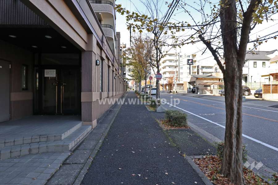 敷地北東側の前面道路（南東側から)