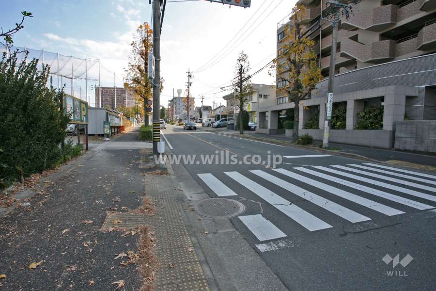 敷地北側の前面道路(西側から)