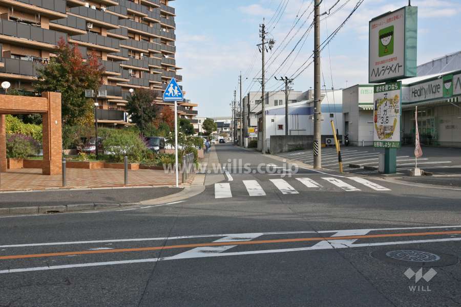 敷地南東側の前面道路（南西側から）