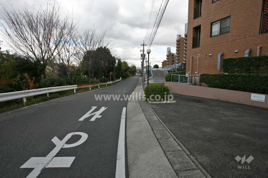 敷地北西側の前面道路（南西側から）