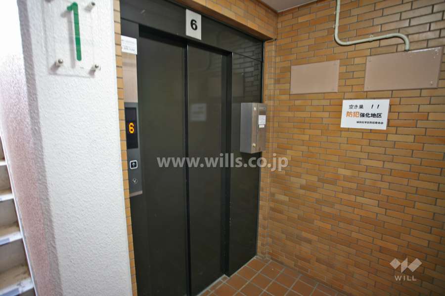 棟内のエレベーター