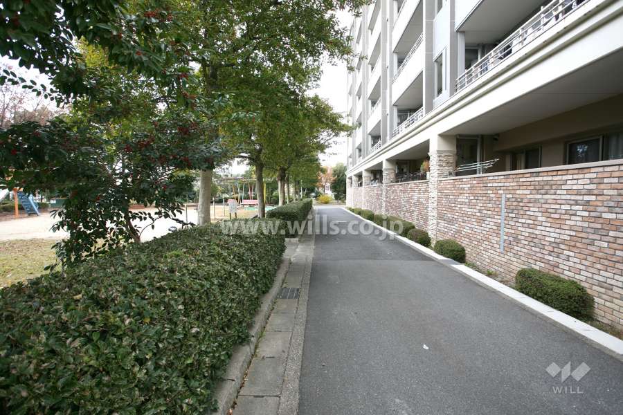 敷地南西側の前面道路