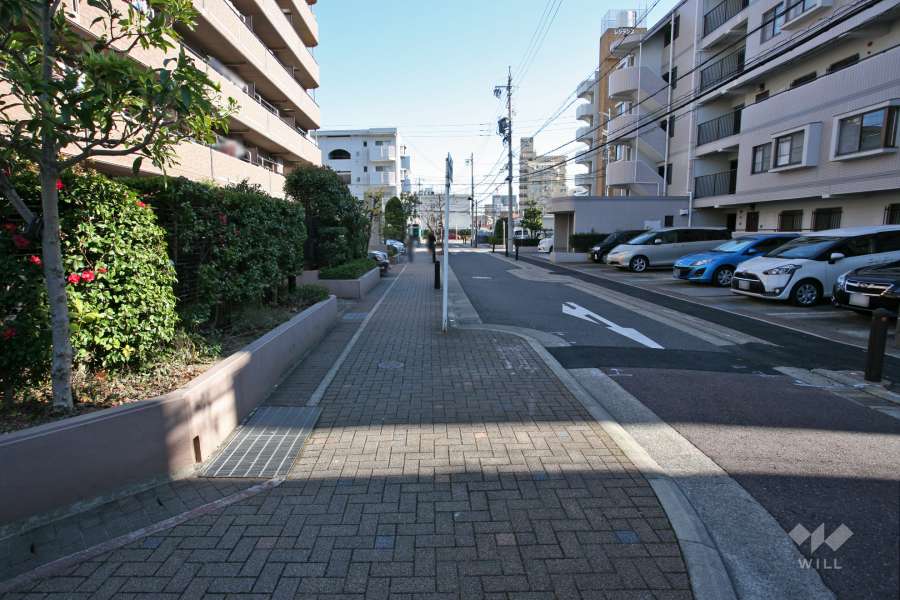 敷地南側の前面道路（西側から）