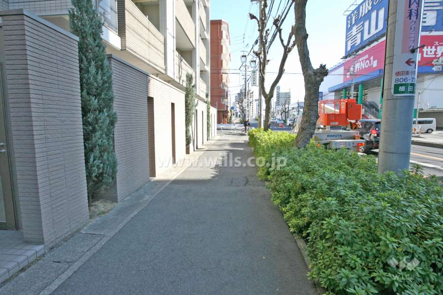 敷地南側の前面道路（西側から）