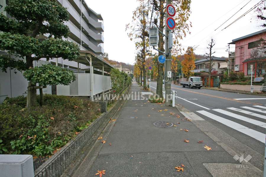 敷地北側の前面道路(東側から)