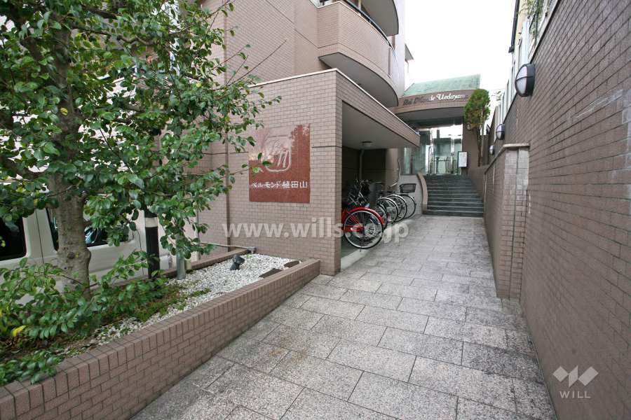 エントランスアプローチ