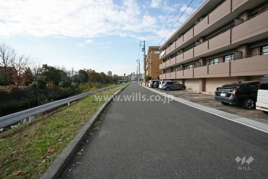 敷地南側の前面道路（東側から）