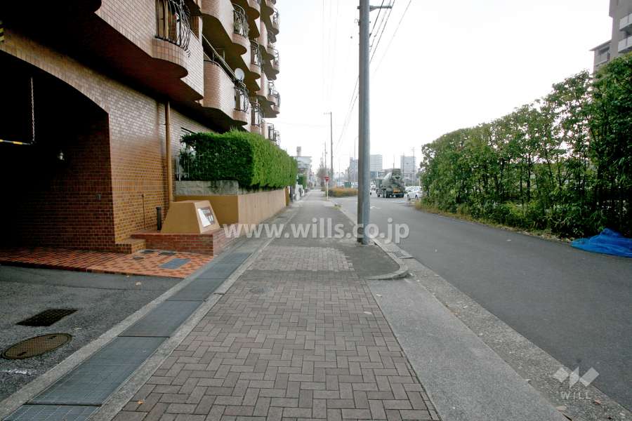 敷地南側の前面道路(西側から)
