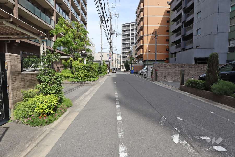 敷地南側の前面道路