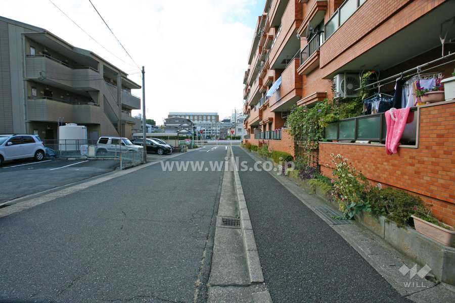 敷地南側の前面道路