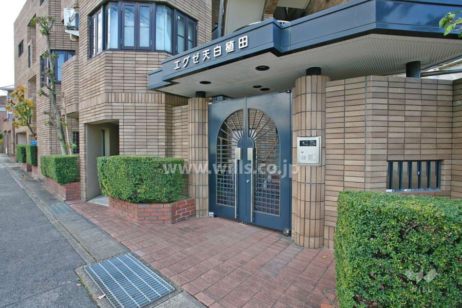 エントランスアプローチ