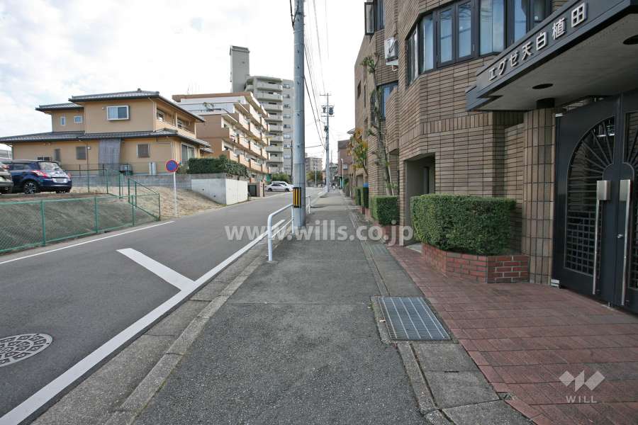 敷地東側の前面道路