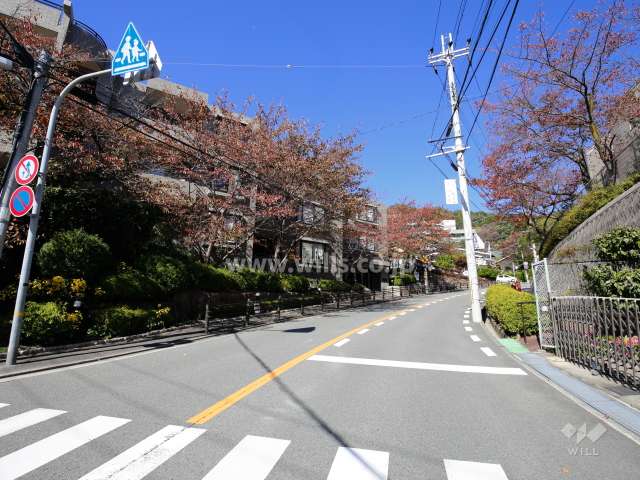 敷地東側の前面道路