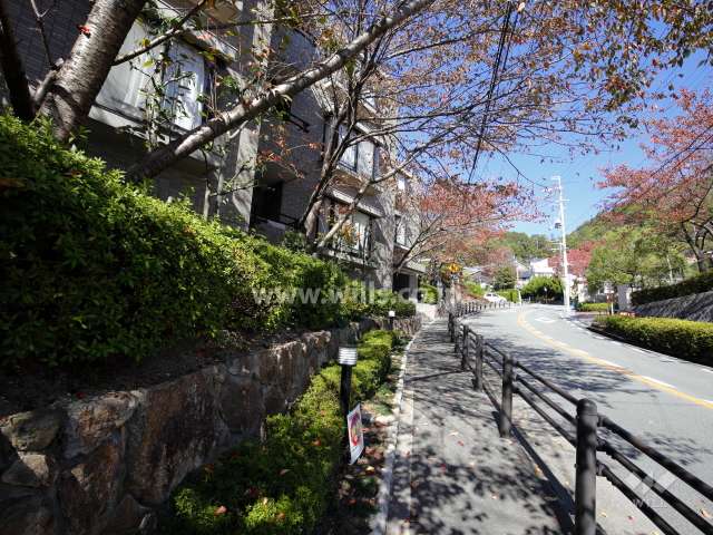 敷地の周囲には生垣が設けられています。