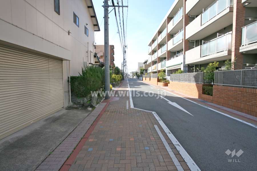 敷地南側前面道路（南東側から）