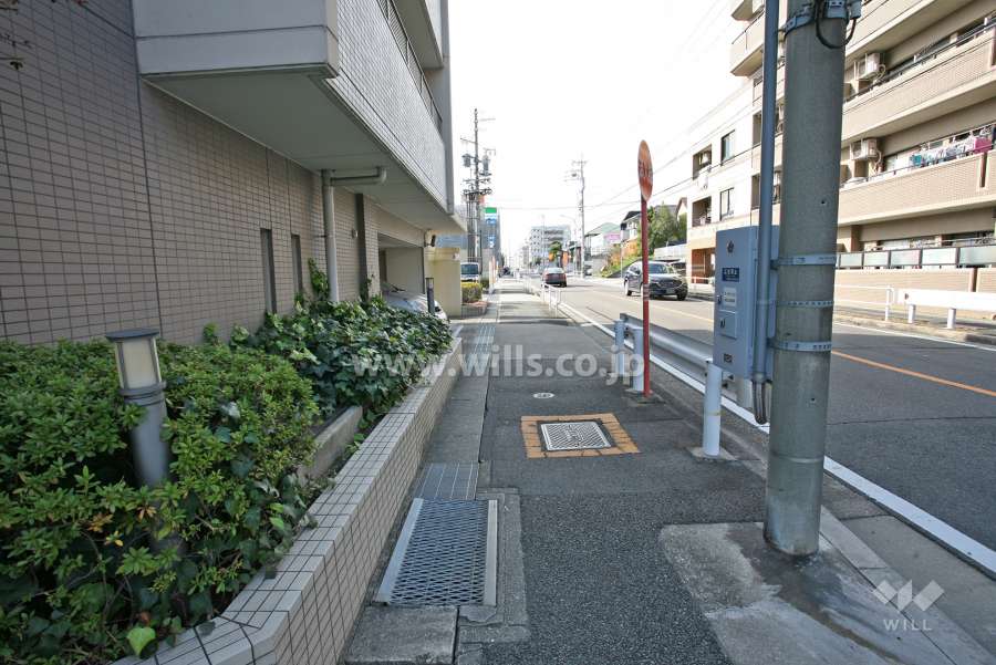 敷地北側の前面道路