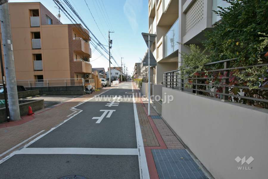敷地南側の前面道路(東側から)