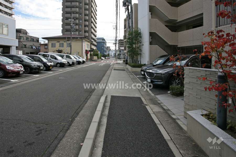 敷地北側の前面道路（西側から）