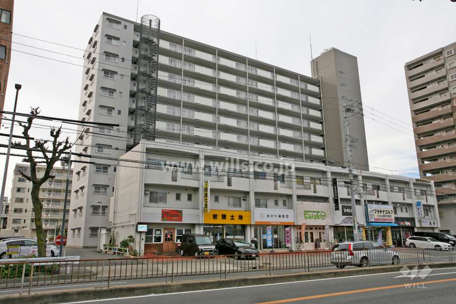 植田ダイヤハイツの外観