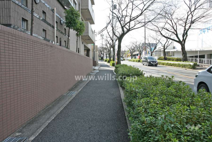 敷地前面道路