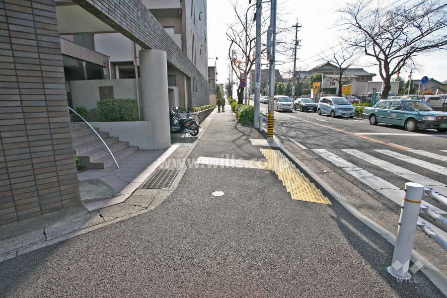 敷地西側の前面道路