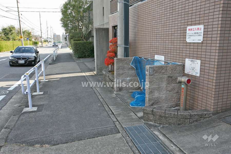 ゴミ置き場