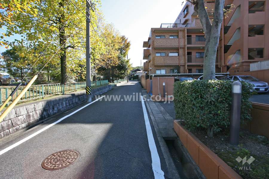敷地東側の前面道路