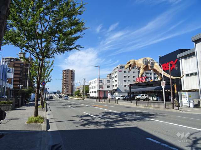 敷地北側の前面道路（東側から）※国道479号線、大阪内環状線です。