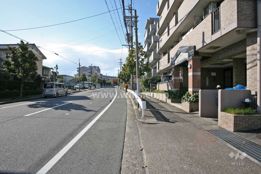 敷地前面道路
