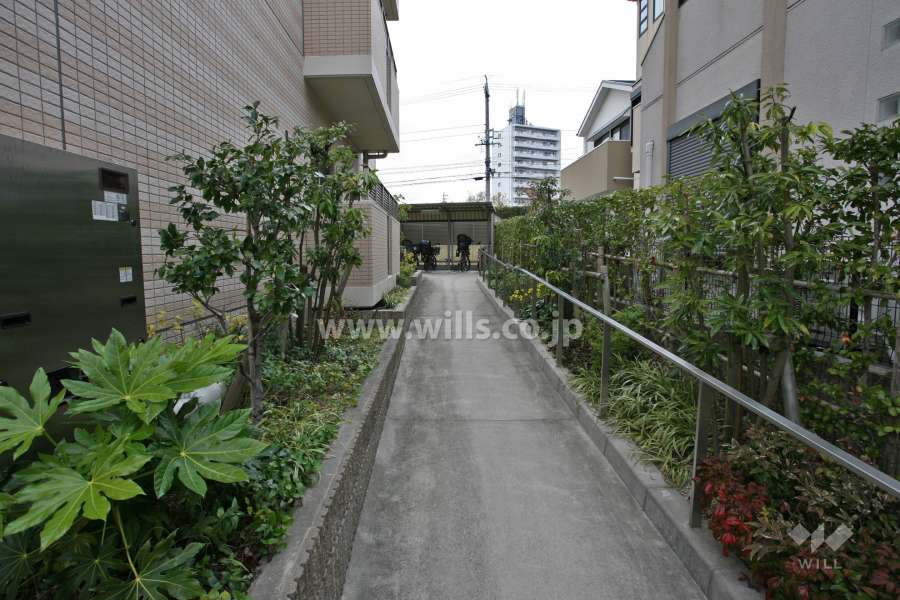 通路