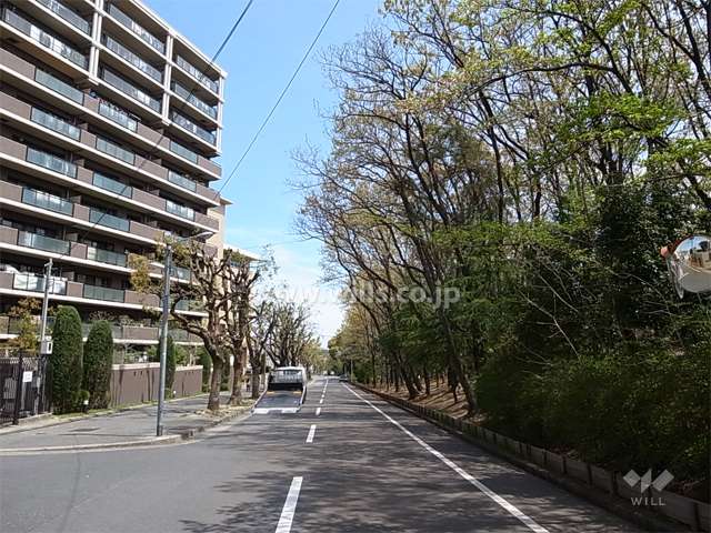 敷地の南側は道を挟んで緑地になっています。
