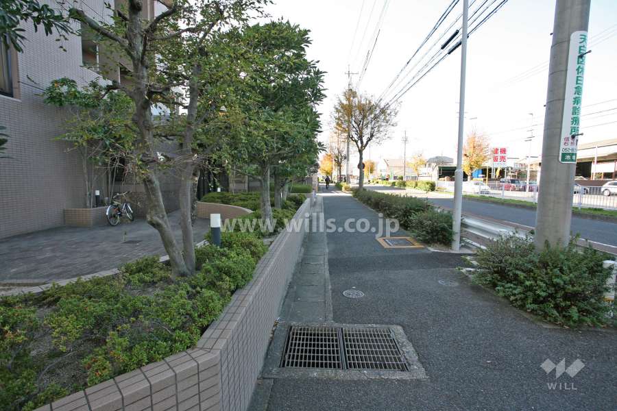 敷地前面道路