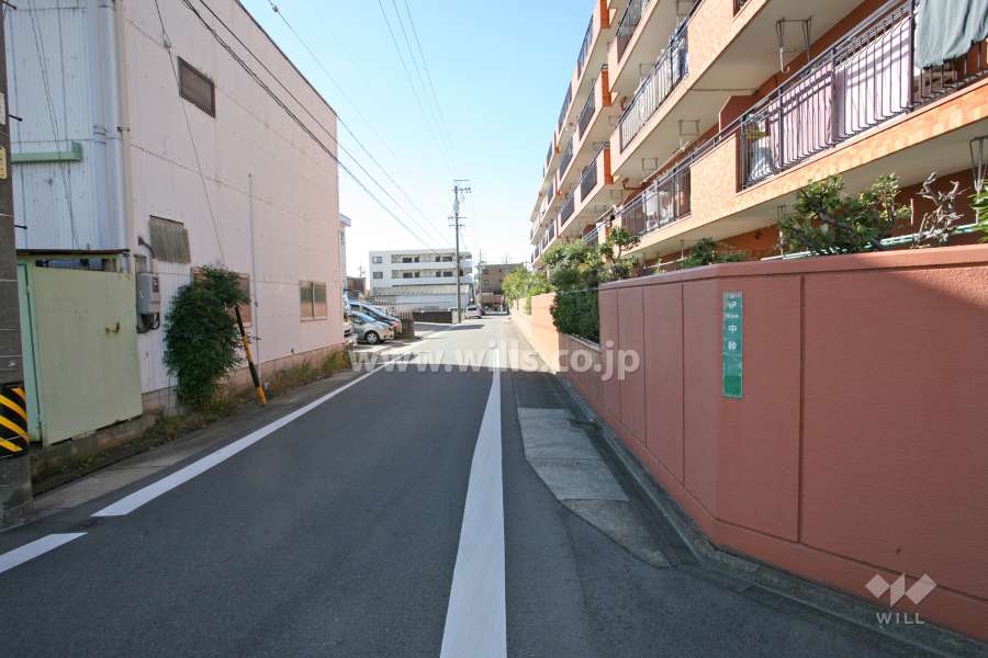 敷地南東側の前面道路（北東側から）