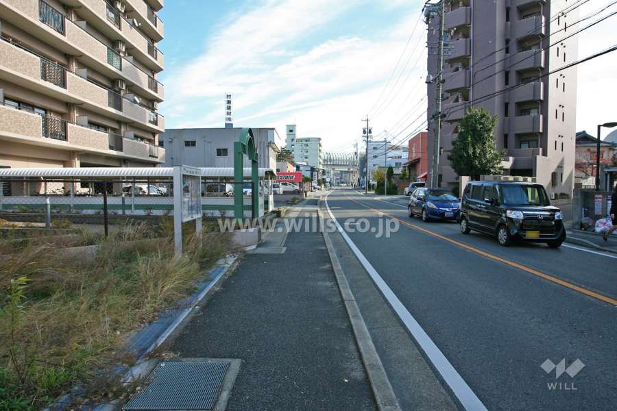 敷地南側の前面道路