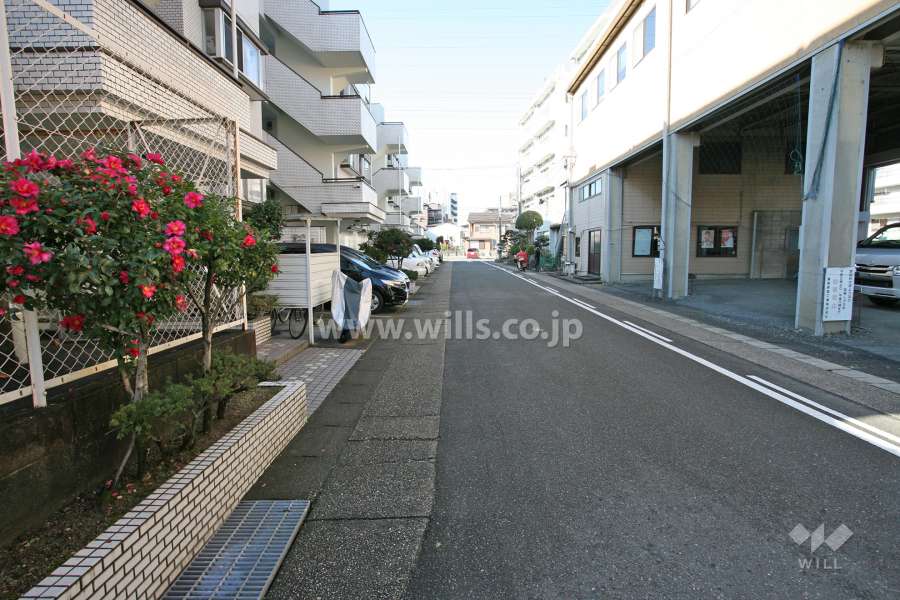 敷地前面道路