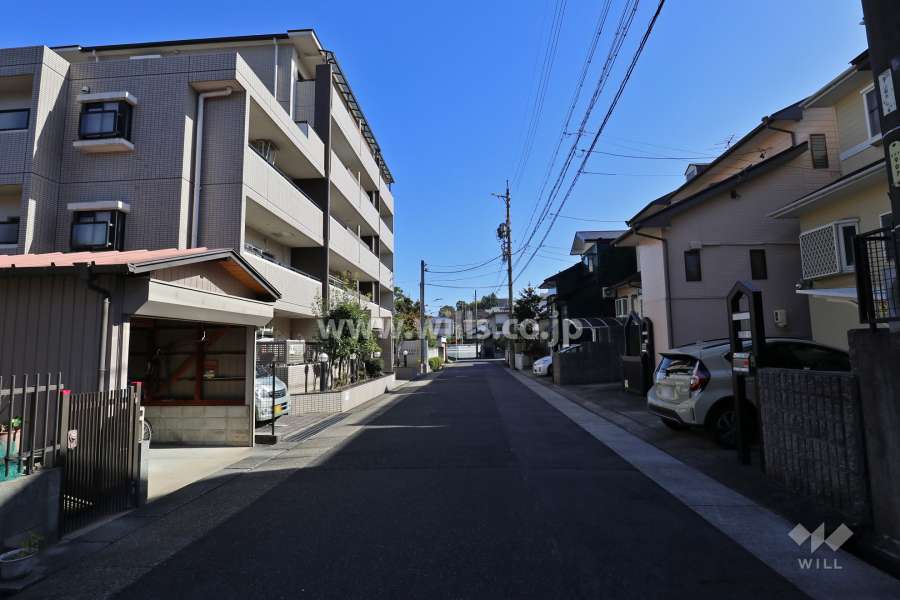 敷地南側の前面道路（西側から）