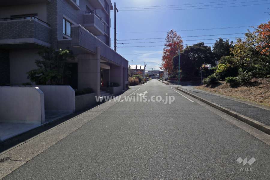 敷地西側の前面道路（北側から）
