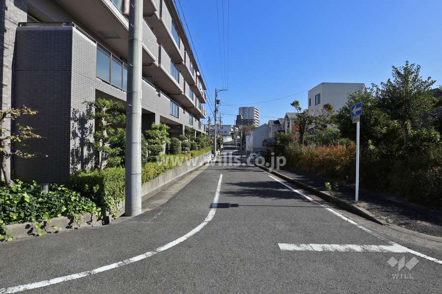 敷地北側の前面道路（西側から）