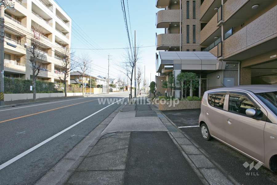 敷地前面道路