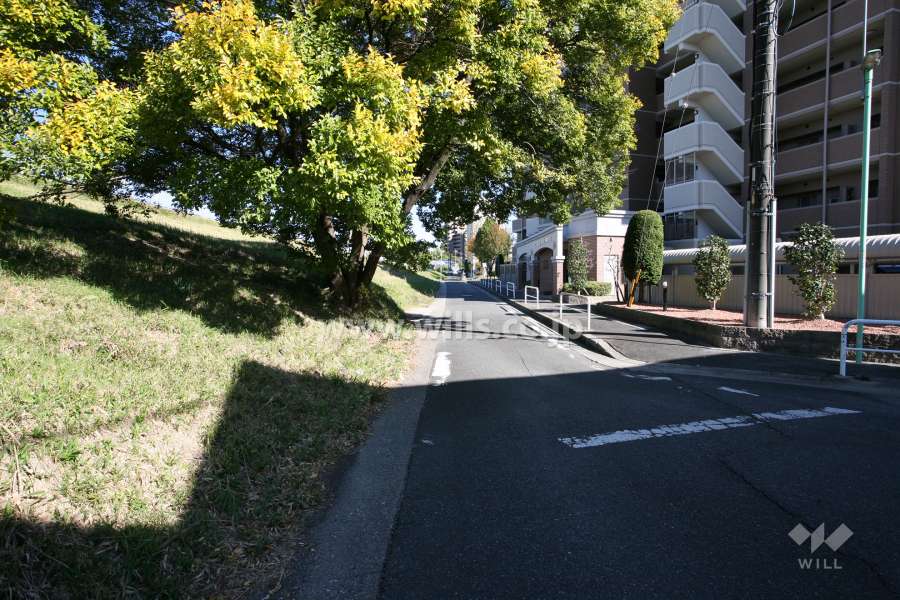 敷地北西側の前面道路
