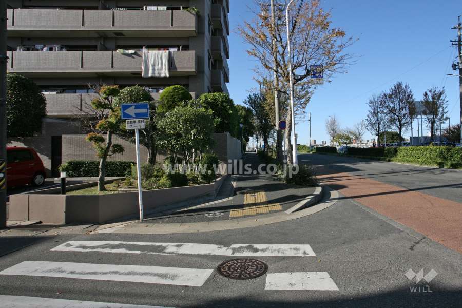 敷地北東側の前面道路（南東側から）