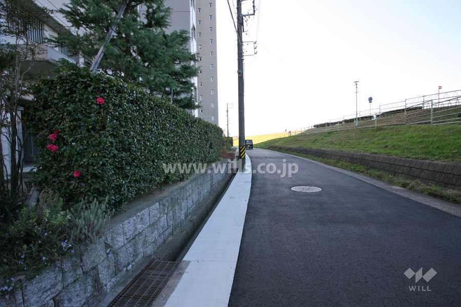 敷地北側の前面道路（東側から）