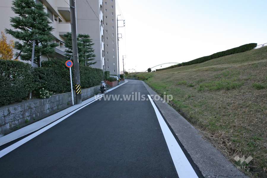 敷地北側の前面道路（東側から）